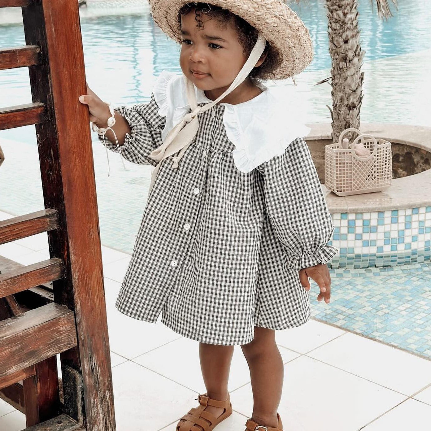 Gingham Dress With Maxi Collar (Two Colours)